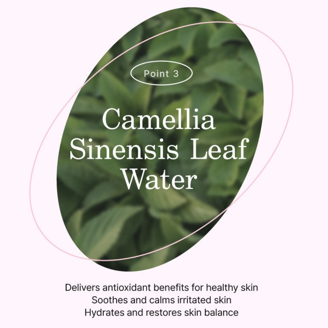 Point 3: Camellia sinensis leaf water—antioxidant, soothing and hydrating; green tea leaves background