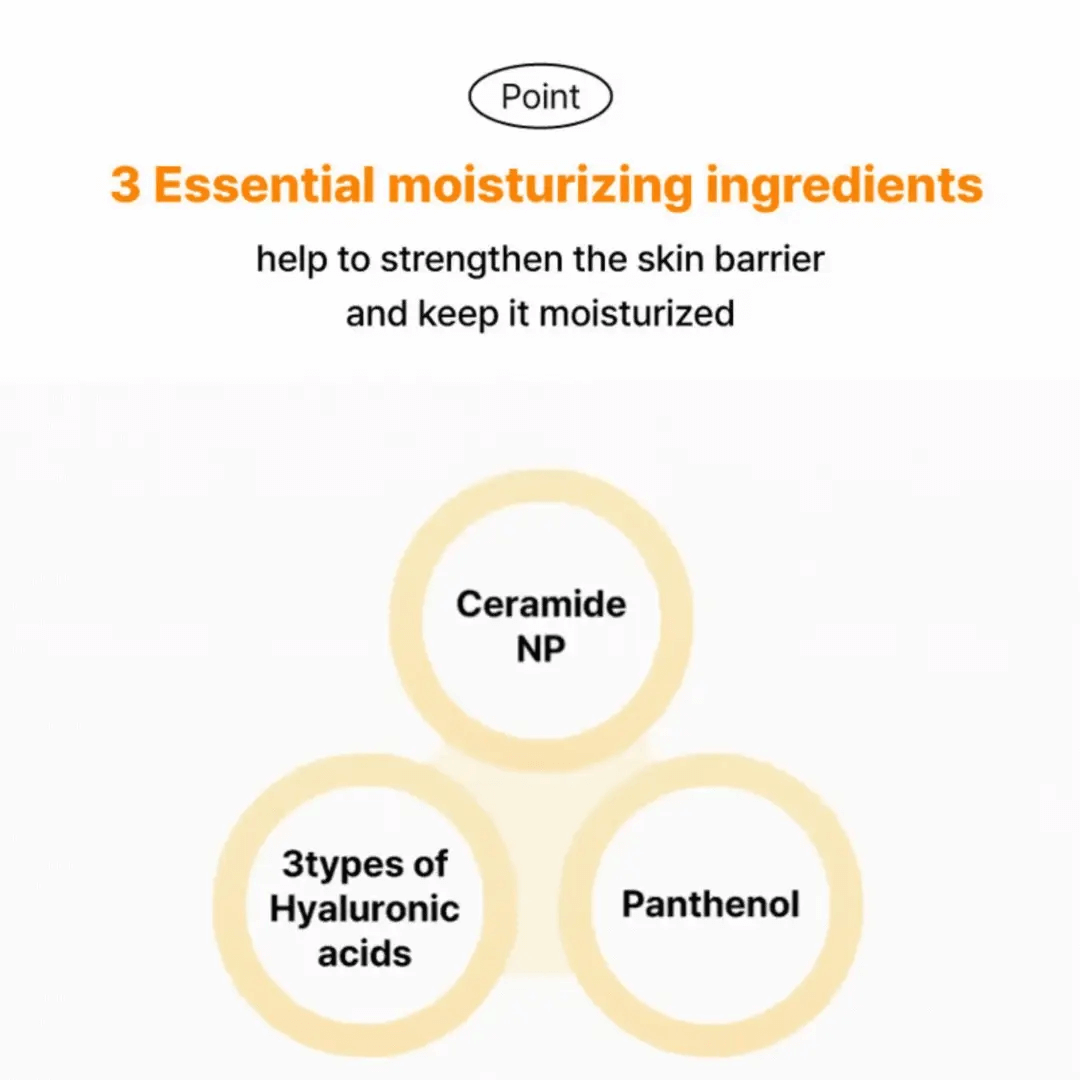 Diagram of three essential moisturizing ingredients: Ceramide NP, 3 types of Hyaluronic acids, and Panthenol, on a white background.